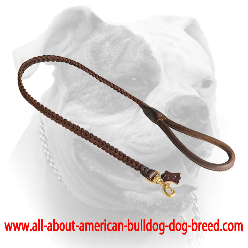 Comfy handle for leather braided American Bulldog leash