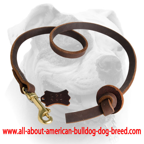 Durable American Bulldog leash with leather stopper at the end