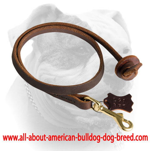 Soft reliable leather leash for American Bulldog