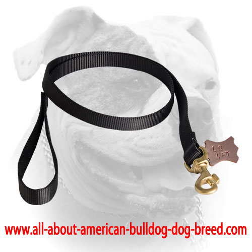 Brass snap hook for nylon American Bulldog leash