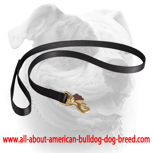 Nylon American Bulldog leash with soft comfy handle