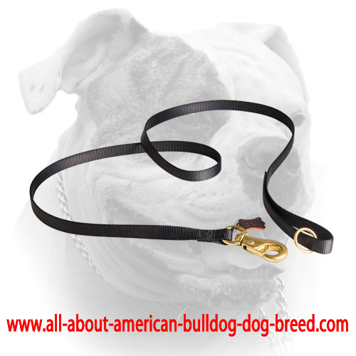 American Bulldog nylon leash with brass snap hook and strong handle