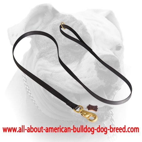 Durable nylon leash with floating O-ring on the handle for American Bulldog