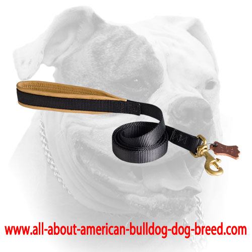 American Bulldog leash with brass snap hook