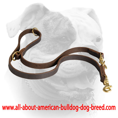 Genuine quality leather leash with brass hardware for American Bulldog