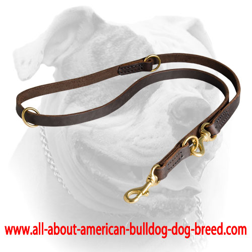 Leather American Bulldog leash with durable double stitching