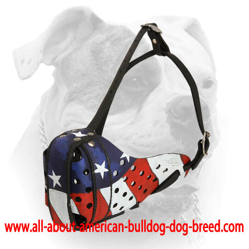 Special ventilation holes for leather American Bulldog muzzle