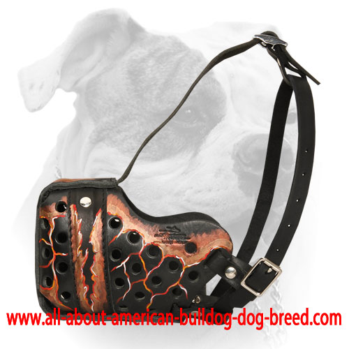 Reinforced Magma painted leather American Bulldog muzzle