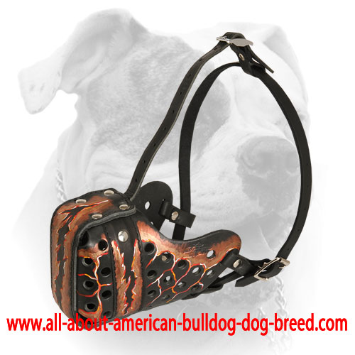 Durable steel front bar for leather American Bulldog muzzle