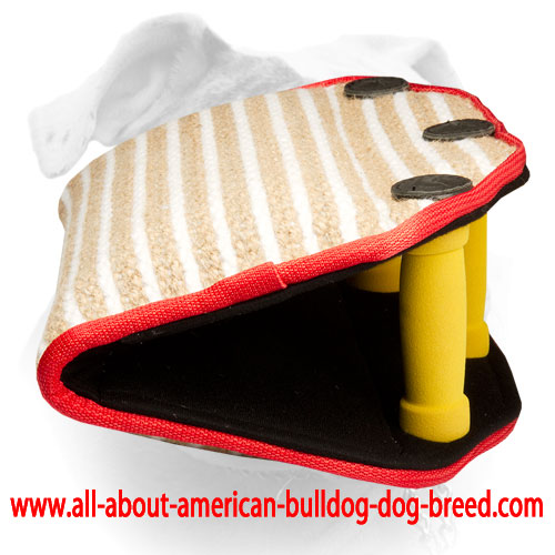 American Bulldog bite builder with three soft handles